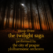 Music From The Twilight Saga