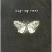 Laughingstock: moth