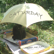 Caturday