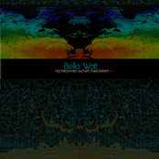 To Recover What Has Been