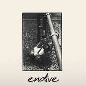 Voice Without A Face