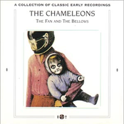 return of the roughnecks: the best of the chameleons