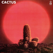 Cactus: Cactus