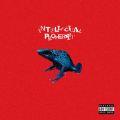 Waterparks: INTELLECTUAL PROPERTY