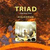 Run To The City by Triad