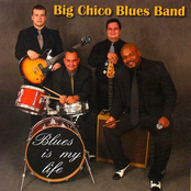 big chico blues band