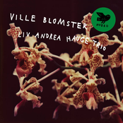 Ville Blomster (feat. Liv Andrea Hauge, Georgia Wartel Collins & August Glännestrand)