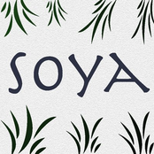 Soya