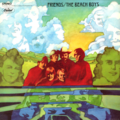 Transcendental Meditation by The Beach Boys