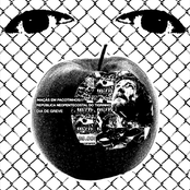 MAÇÃS EM PACOTINHOS///REPÚBLICA NEOPENTECOSTAL DO TIGRINHO