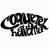 coquetel havana