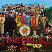 Songjackers - Eels Tribute