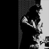 Milorganaut / Falter