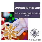 Wings In The Air: Relaxing Christmas Eve