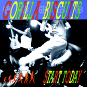 Stand Still by Gorilla Biscuits