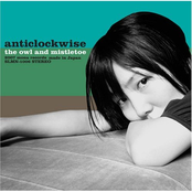 フクロウと宿り木