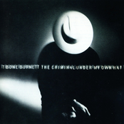 The Long Time Now by T-bone Burnett