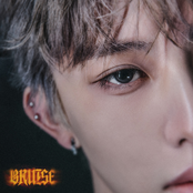 The 3rd Digital Single BRUISE