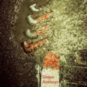 Urban Anatomy (with Kenji Siratori)