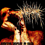 Auditive Display of Hate