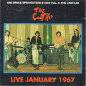 The Bruce Springsteen Story Vol. 1: The Castiles