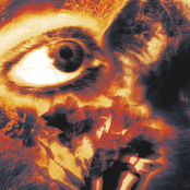 Low Phase: So Pretty It's Perfect