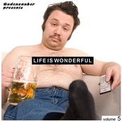 Budenzauber pres. Life Is Wonderful Vol. 5