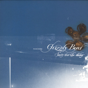 Sure Thing by Grizzly Bear