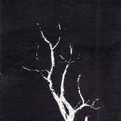 Blue Sabbath Black Cheer / Hymns Of Despondent Solitude