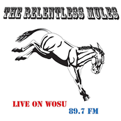 The Relentless Mules: Live On Wosu 89.7 FM