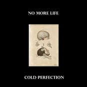 Cold Perfection