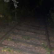 your ghost is beautiful