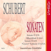 Schubert Sonaten Vol. 2