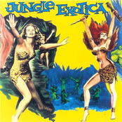 Jungle Exotica