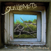 And If All... - Album Interlude by Guillemots