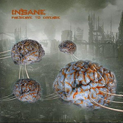 Into Your Battery by Insane