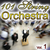 101 String Vol.1