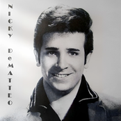 Nicky DeMatteo Collection