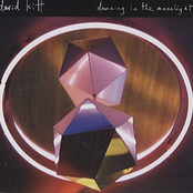 Dancing in the Moonlight