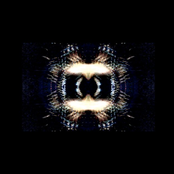 Night Falls with Silver in its Mouth