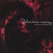 Take a Ride on My One-Wheeled