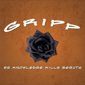 As Knowledge Kills Beauty