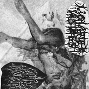 Liquified Insides / Cunt Pus Ingurgitator