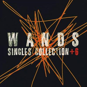 singles collection +6