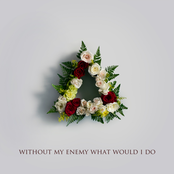 Without My Enemy What Would I Do Album Picture