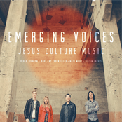 Derek Johnson: Emerging Voices