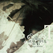 Bloom by Beautiful Day