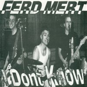 Ferd Mert