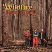 Wildfire