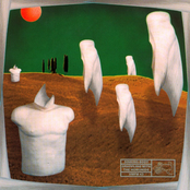 Grappling With The Homonids